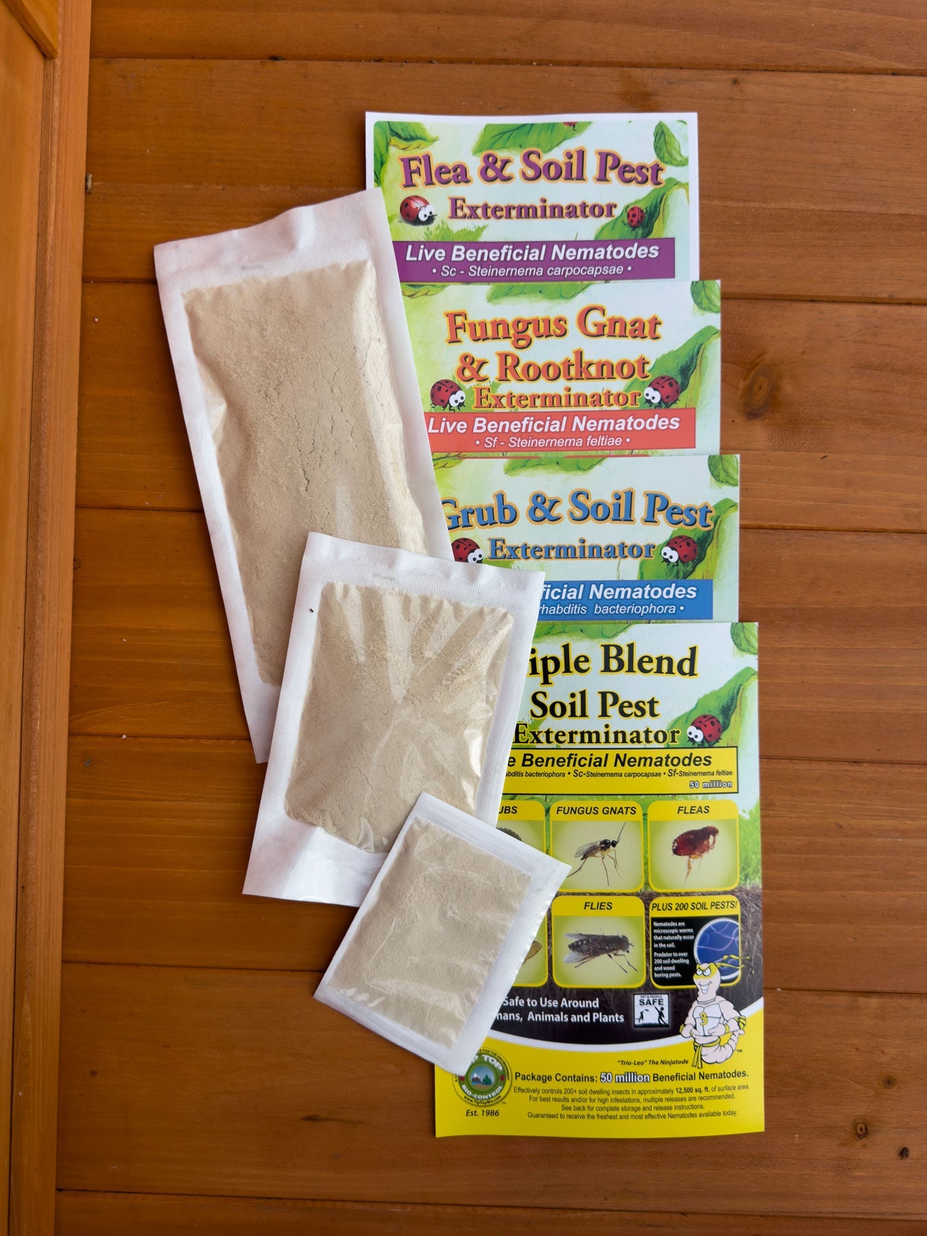 Fungus Gnat Exterminator - Sf Nematodes