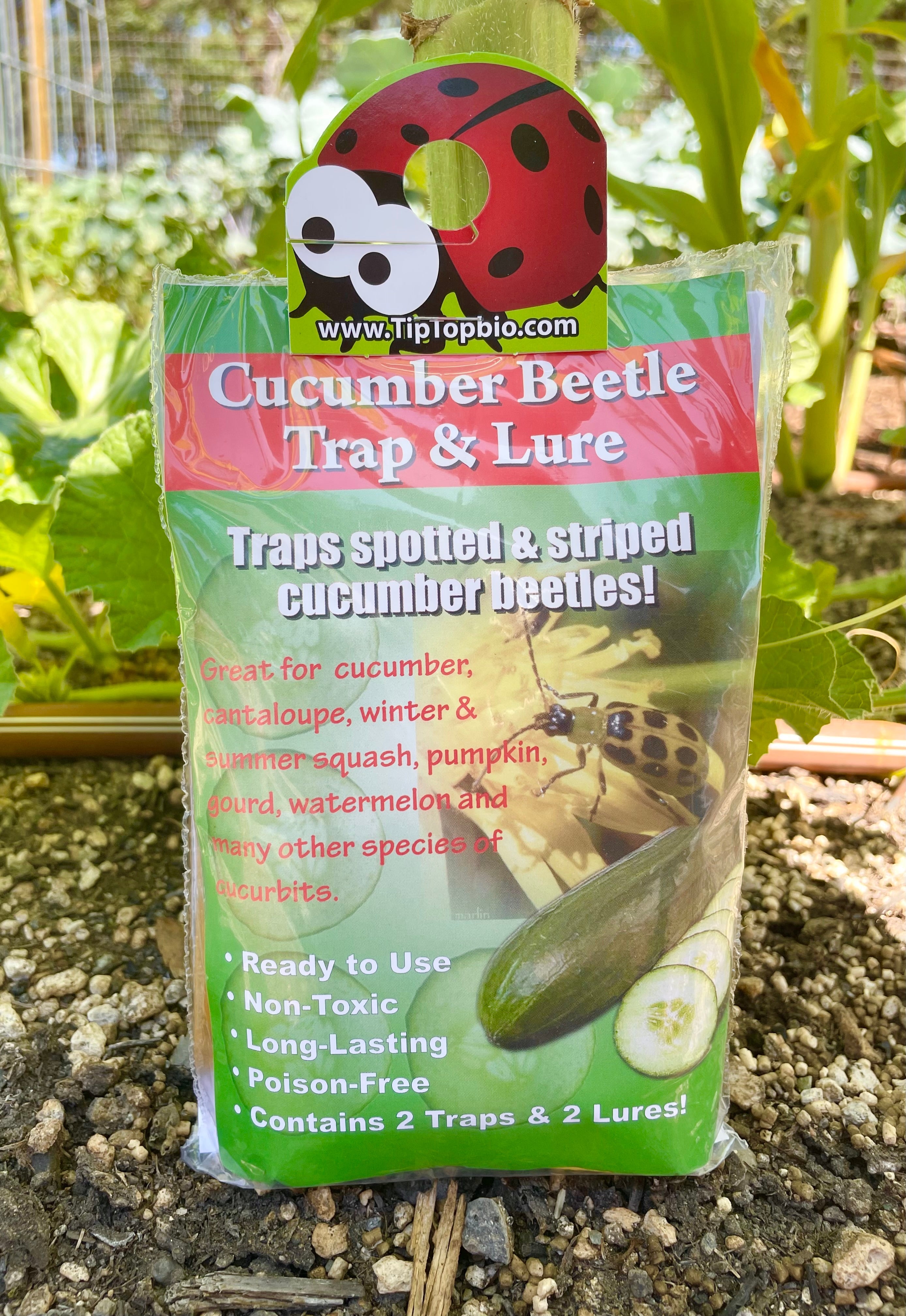 Cucumber Beetle Trap & Lure - 2 Pack