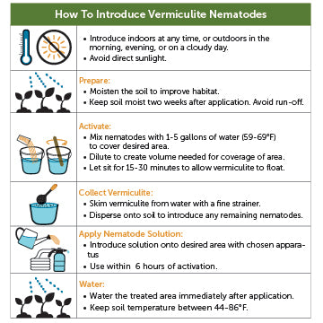 Fungus Gnat Exterminator - 10 Million Sf Nematodes in Retail Cup