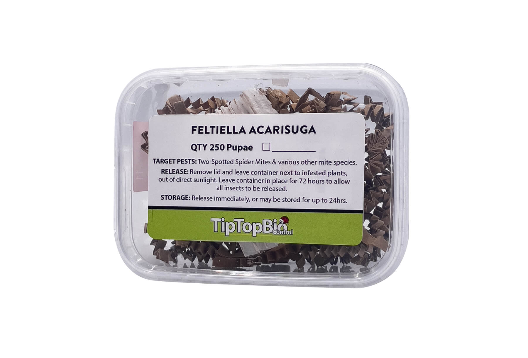 Feltiella acarisuga - Spider Mite Control - 250 Pupae