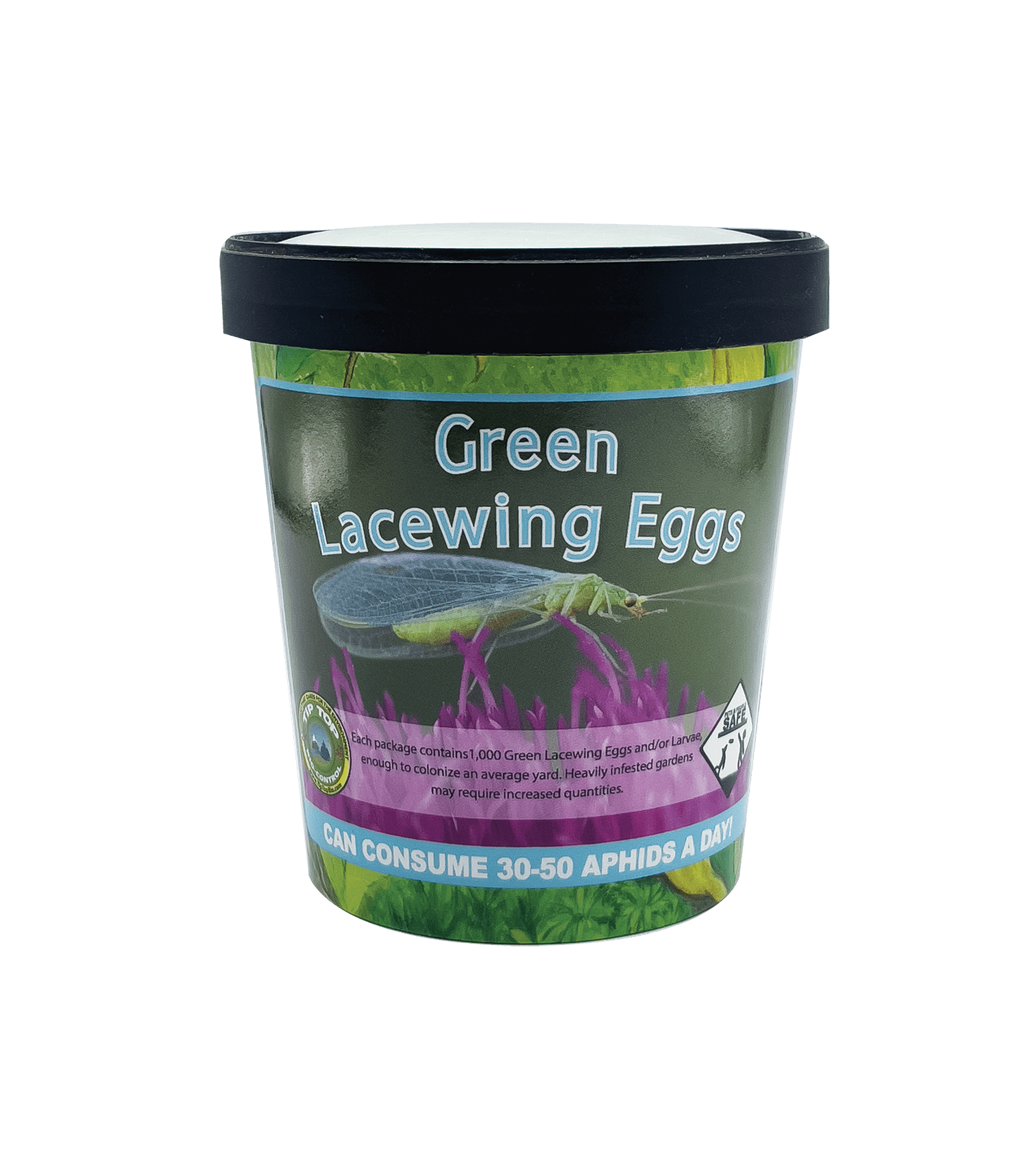 1,000 Green Lacewing Egg in Rice Hulls - Retail Cup