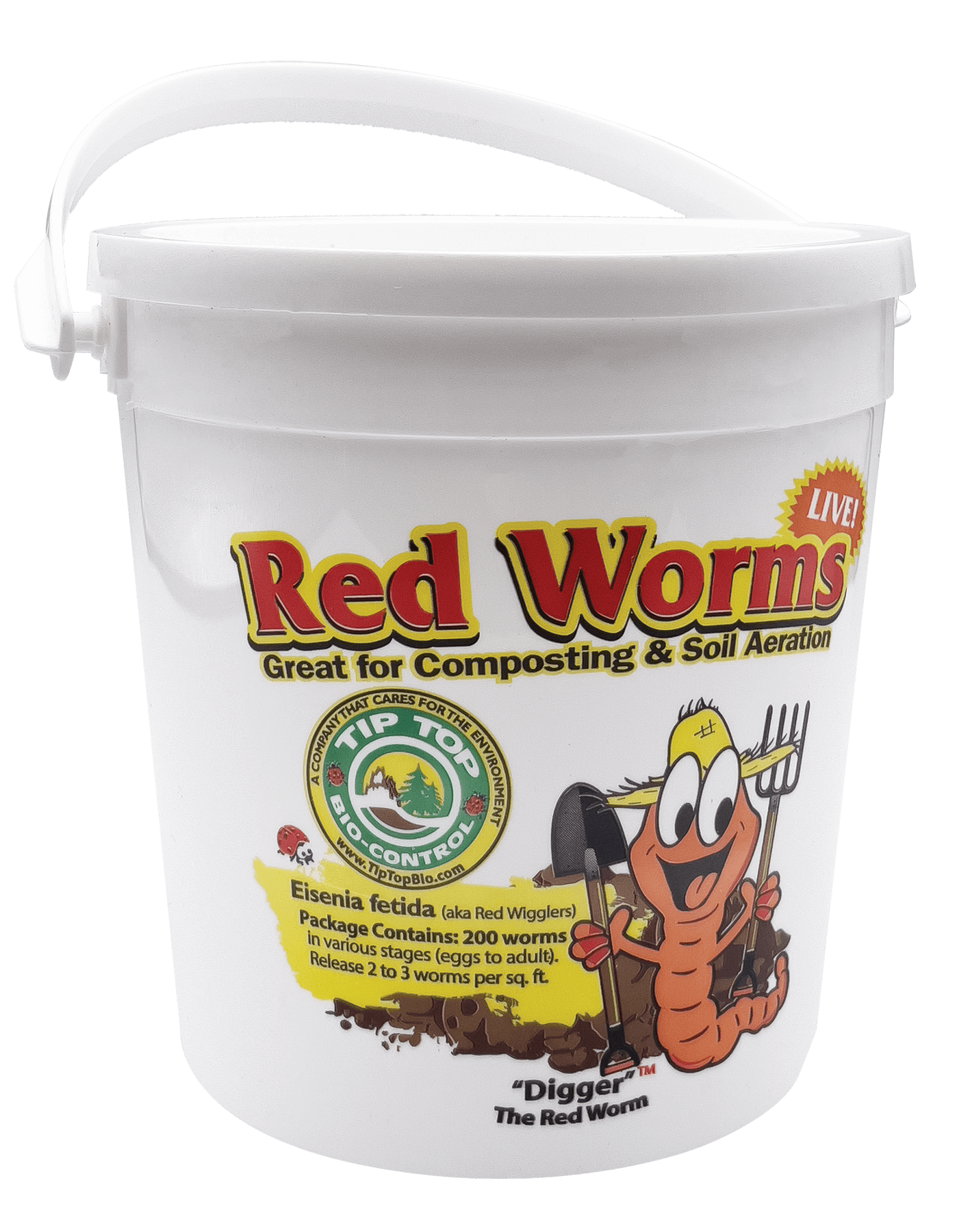 Composting Red "Wiggler" Worms