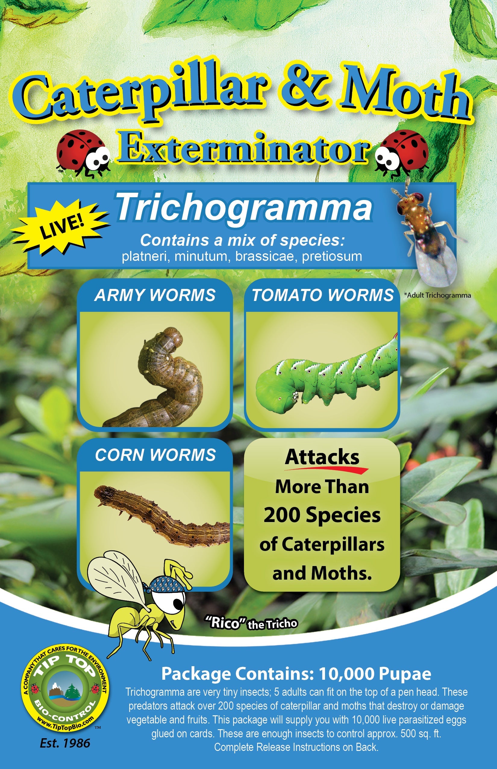 Trichogramma Eggs on Hanging Cards - Moth & Caterpillar Exterminator