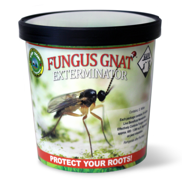 Beneficial Nematodes Fungus Gnat - Cup