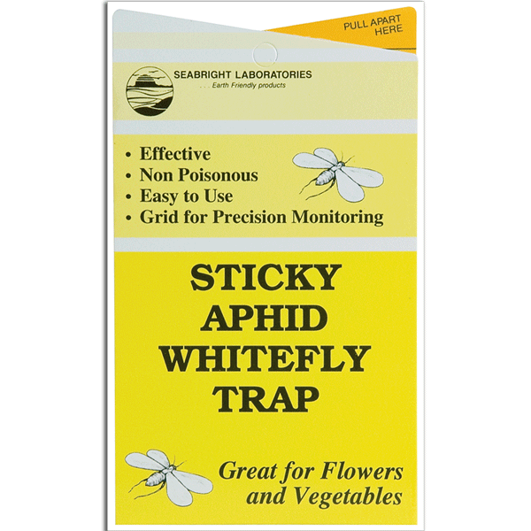 Seabright Aphid & Whitefly Sticky Trap